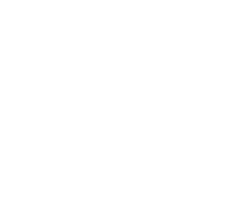 Atelier DSM